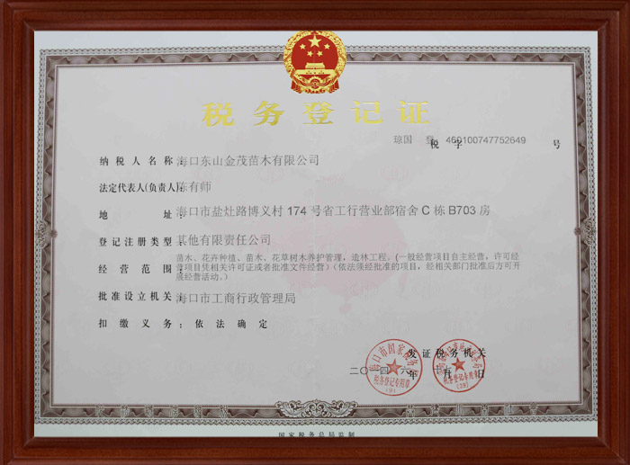 税务登记证