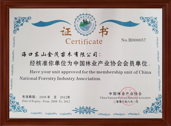 中国林业产业协会会员证书