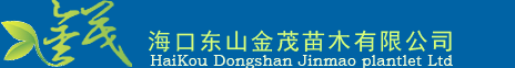 海南油茶苗木出售|海南苗圃苗木销售|海南苗圃苗木批发|海南苗圃树苗销售|海口东山金茂苗木有限公司